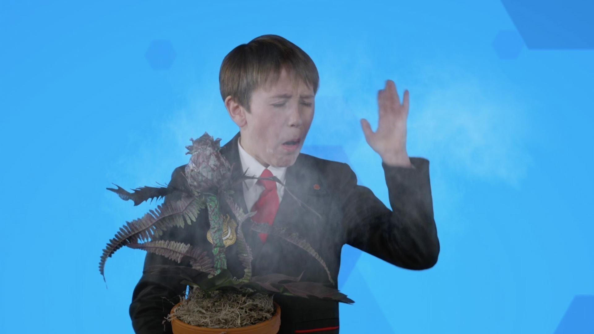 Oscar explains how to deal with a puffer plant.