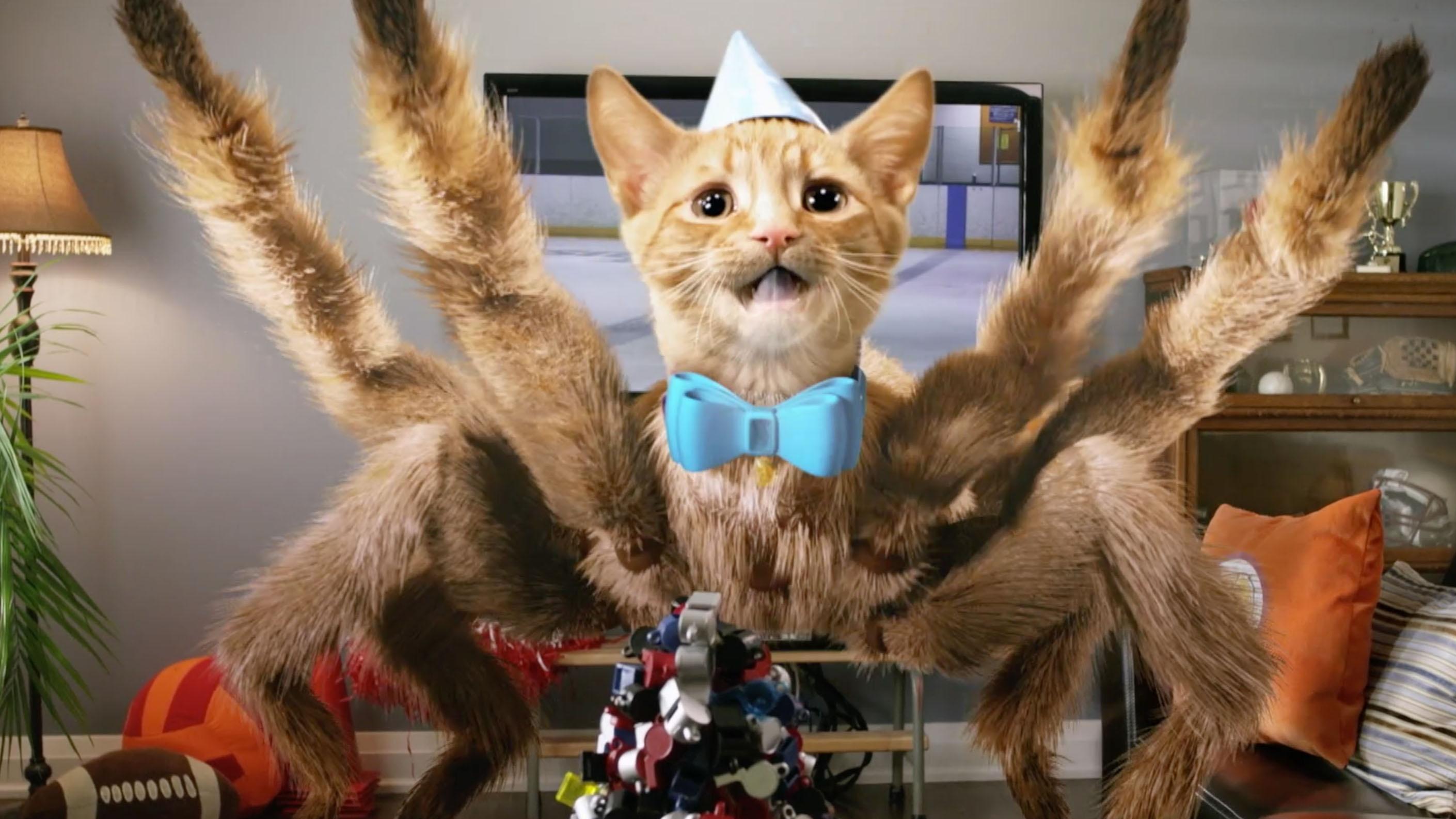 Otto realizes that the Spidercat is skipping houses by 5.