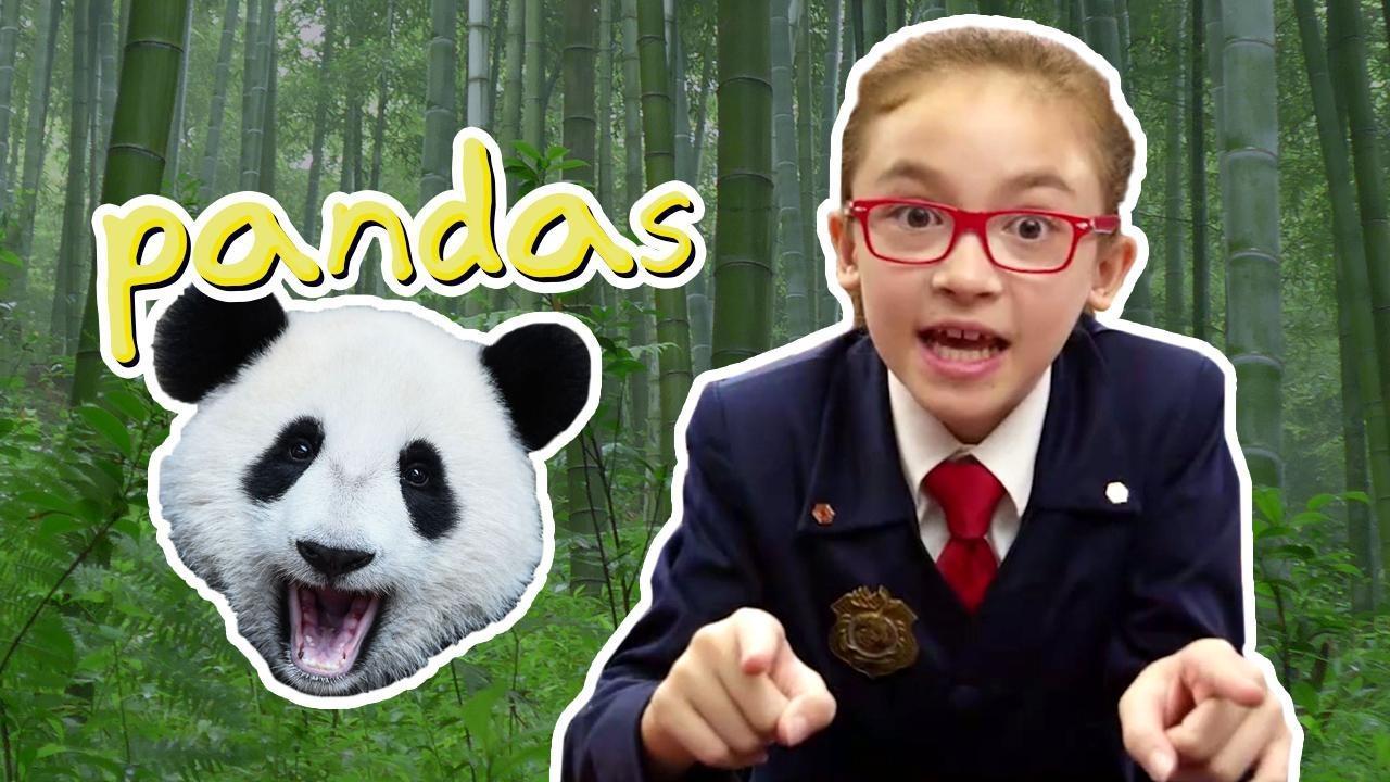 Happy Pretend to be a Time Traveler Day! Olympia shares her love of pandas.