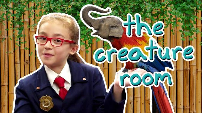 Odd Squad - OddTube: The Creature Room (110) Video | PBS KIDS
