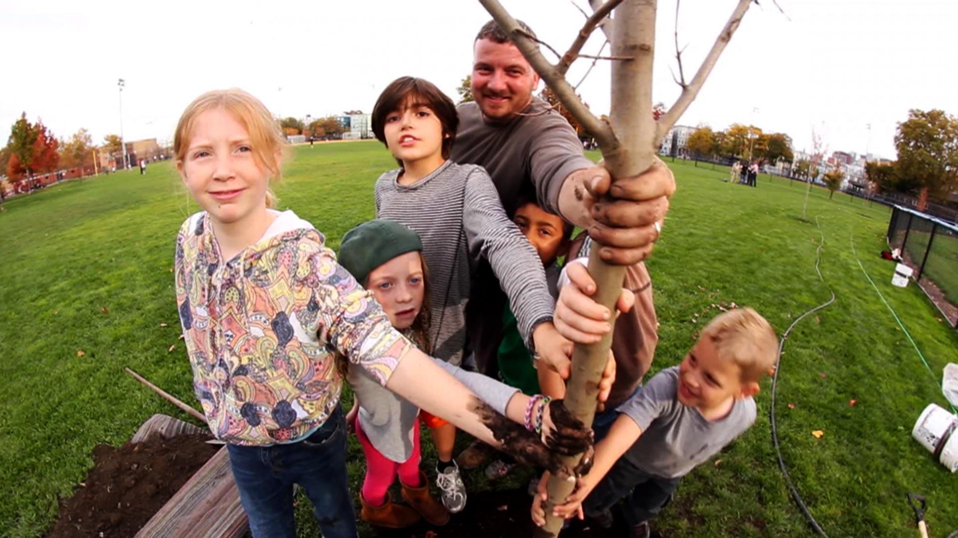 Lucy, Annie, Henry and their friends plant red maple trees around the city.