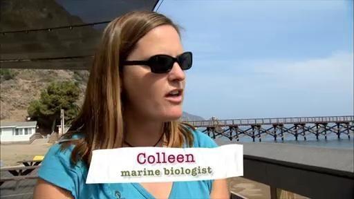 The SciGirls meet with Colleen, a marine biologist.