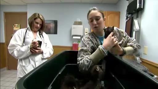 The SciGirls meet Dr. Beck to talk to her about their science experiment.