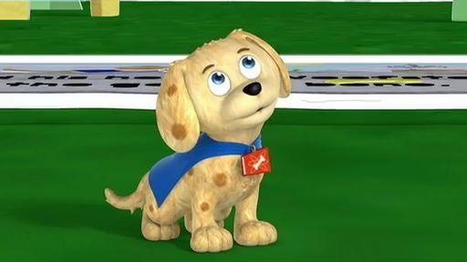 Whyatt goes to a pet adoption fair in Storybrook Village where he meets a little puppy.