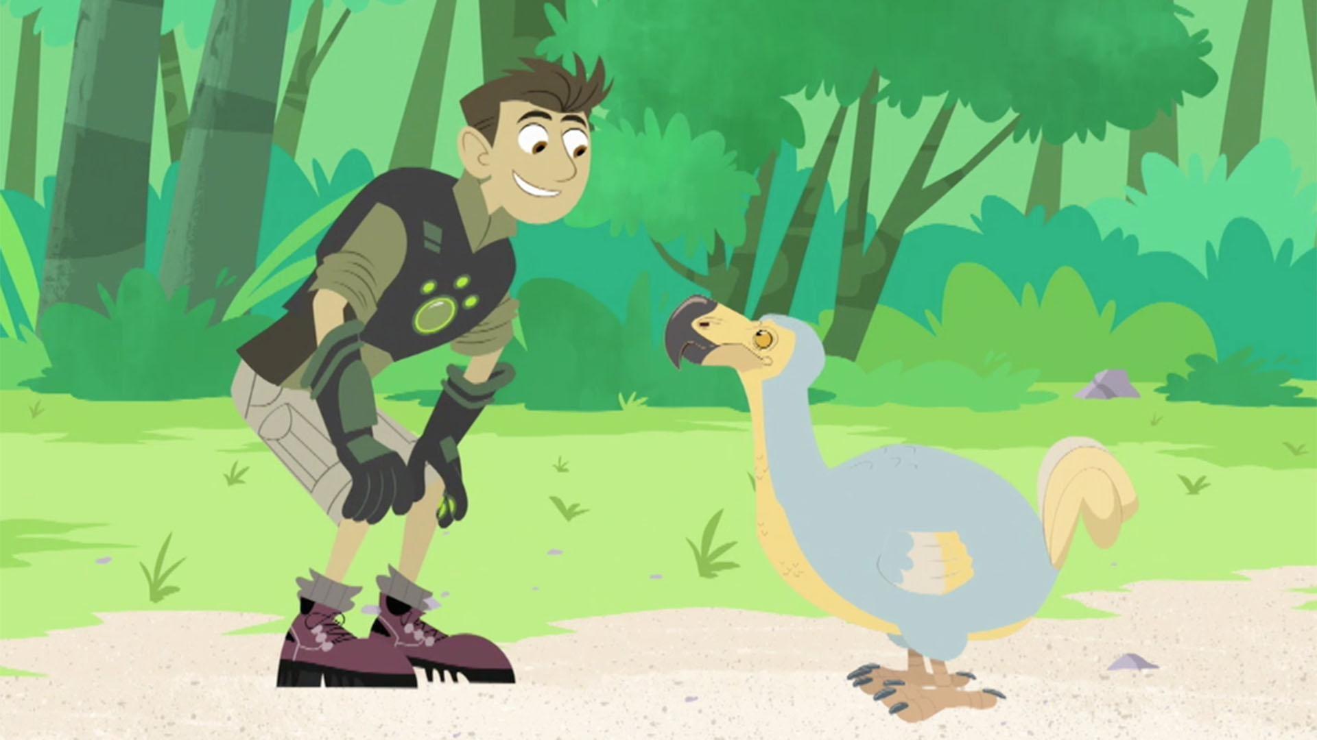 The Kratts' dodo bird investigation goes awry when a chef turns up in search of a snack!