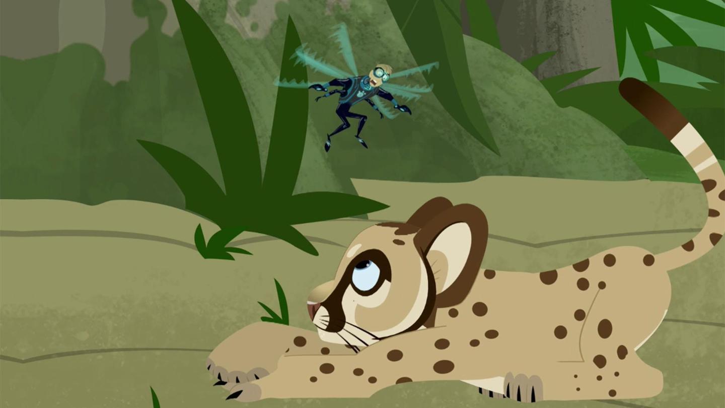 Wild Kratts | Videos | PBS KIDS