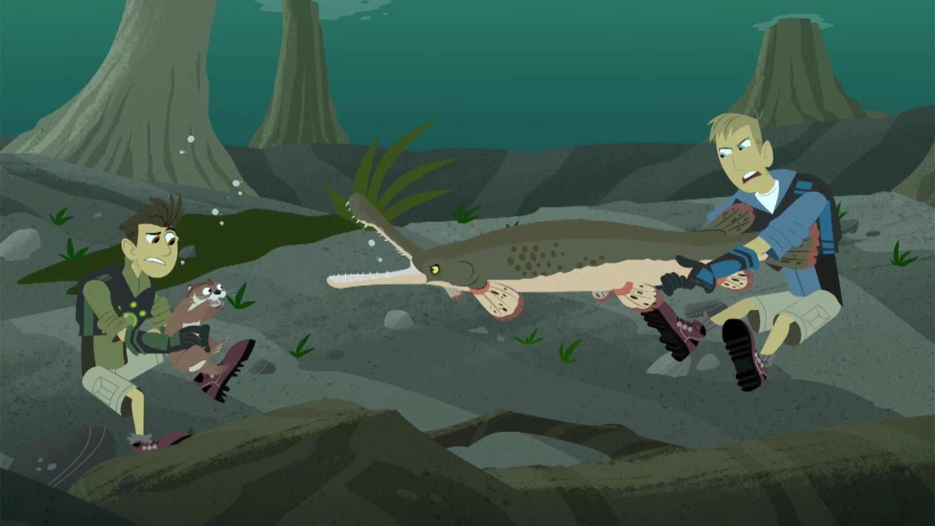The Kratt brothers teach their otter friend, Slider, how to hunt.
