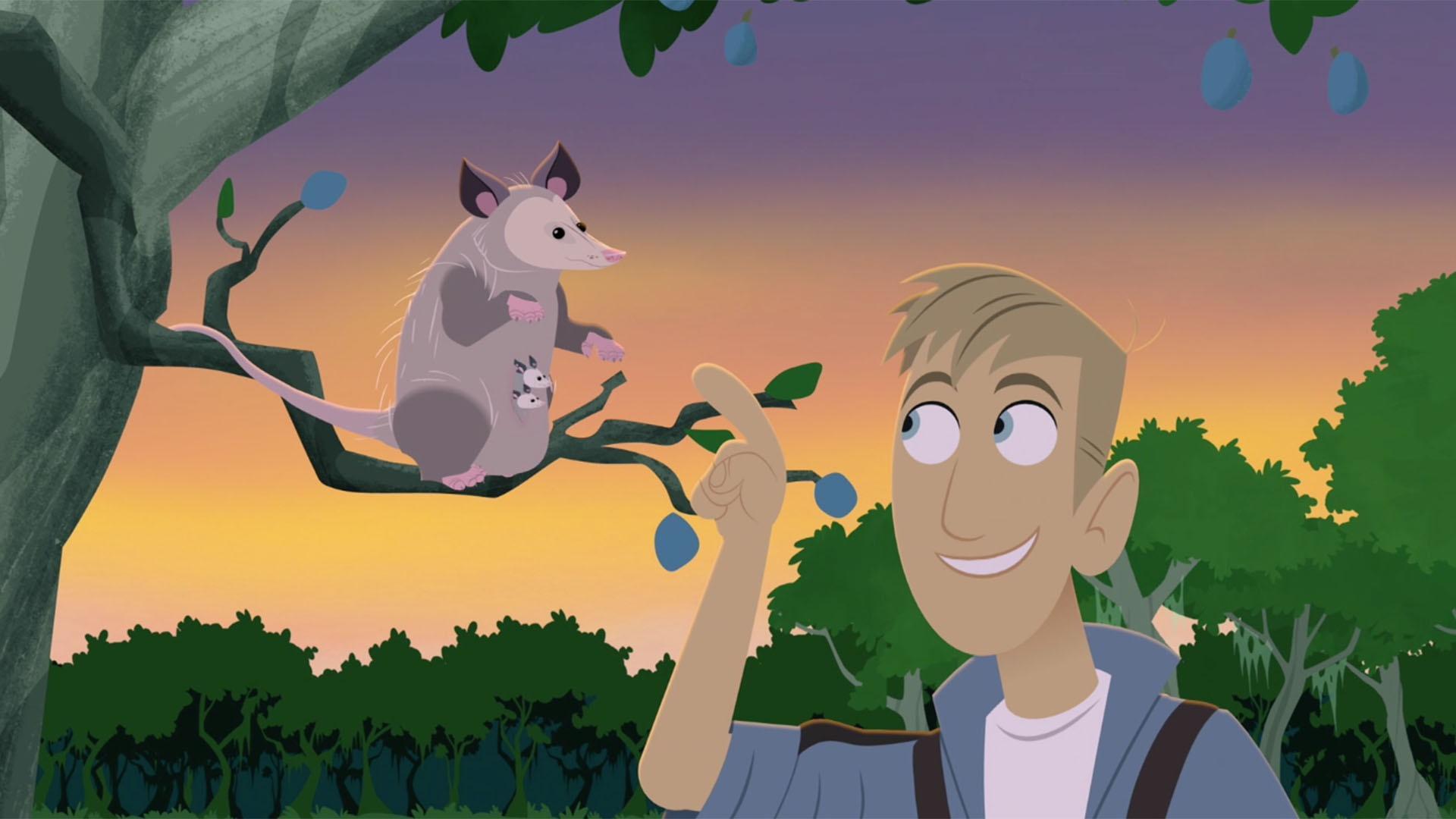 The Kratts stumble across a mother opossum and her babies.