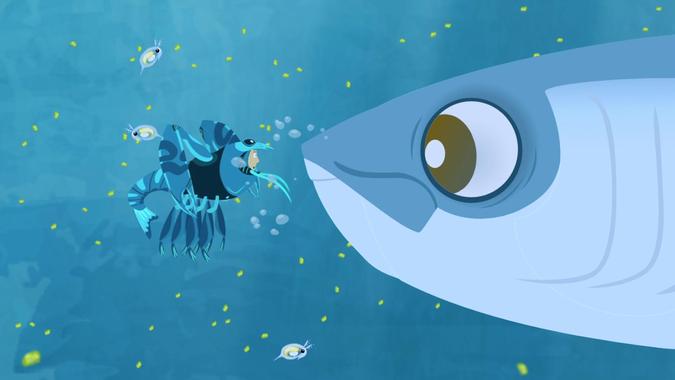 Wild Kratts - Full Episodes Video Collection | Videos | PBS KIDS