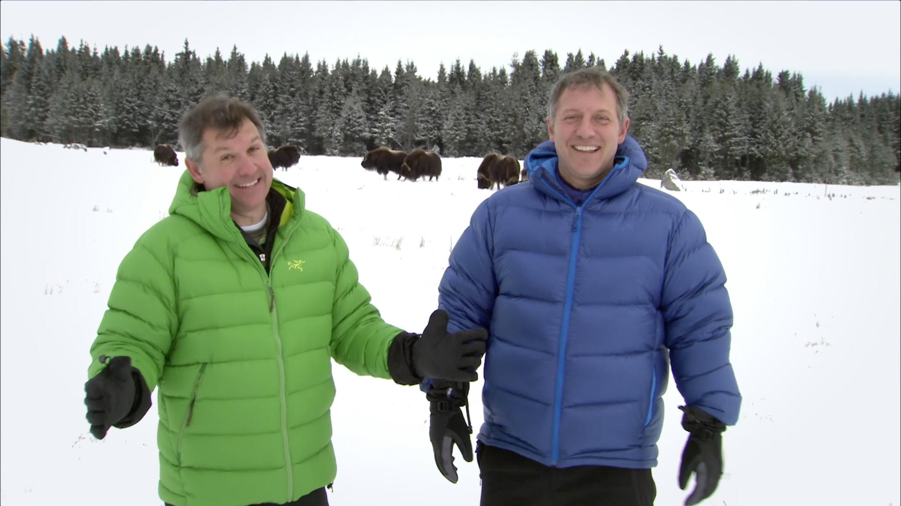 The Kratt Brothers introduce us to some amazing Christmas creatures!
