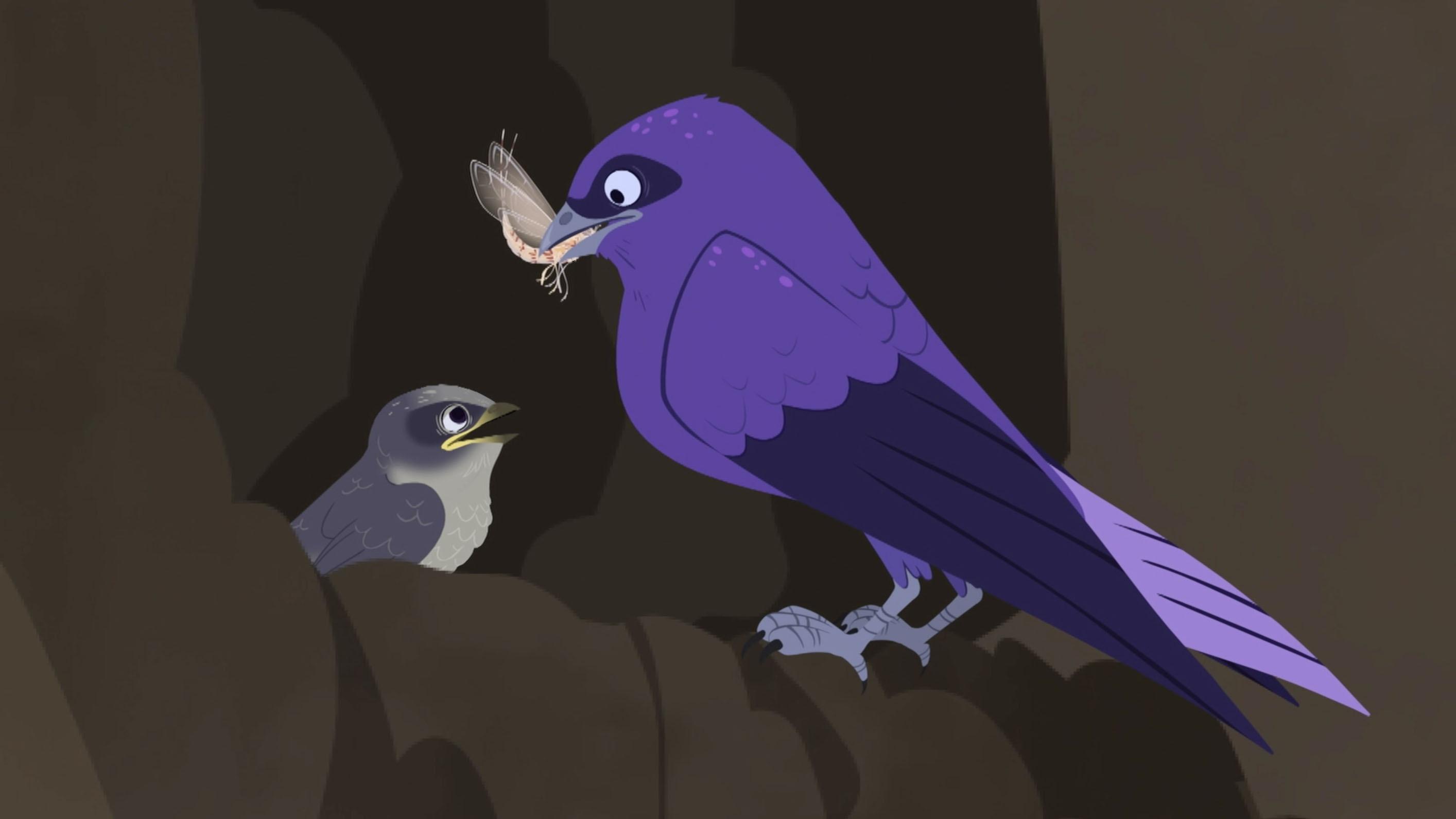 The Kratt brothers fly after a purple martin to watch their eating and nesting habits.