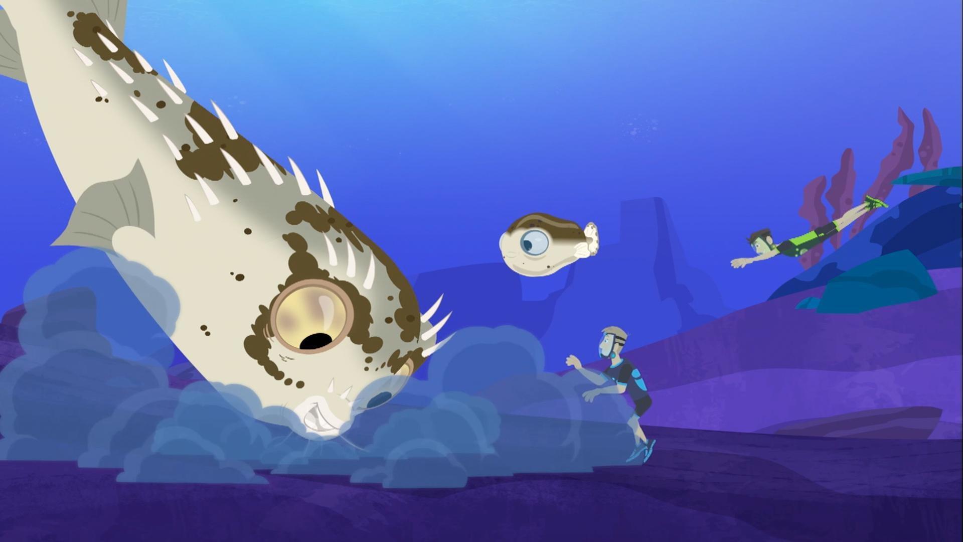 An adult blowfish shows Blimpy, the baby blowfish, how to search for food.