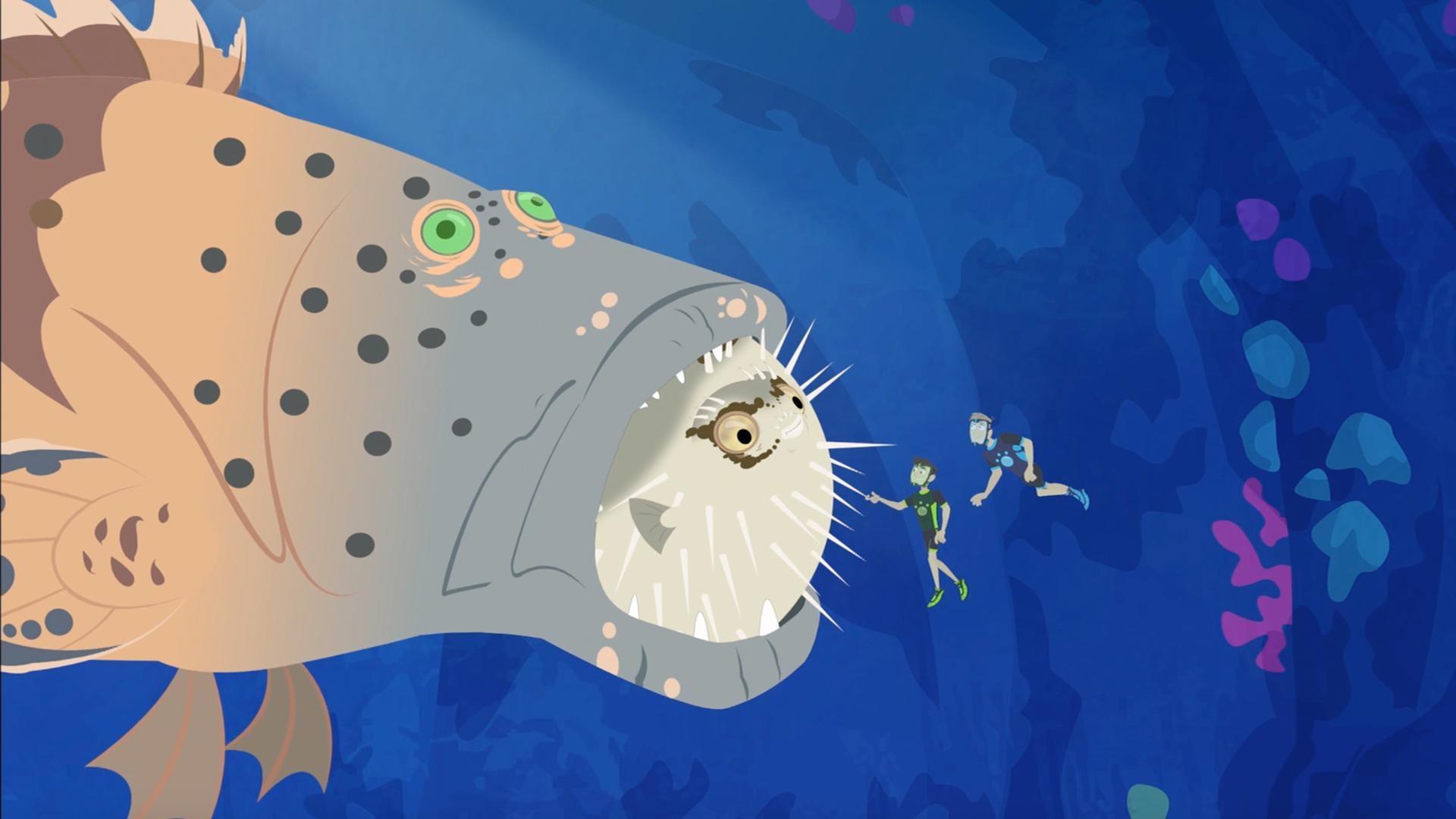 Martin and Chris discover the unique defense mechanism of the blowfish.