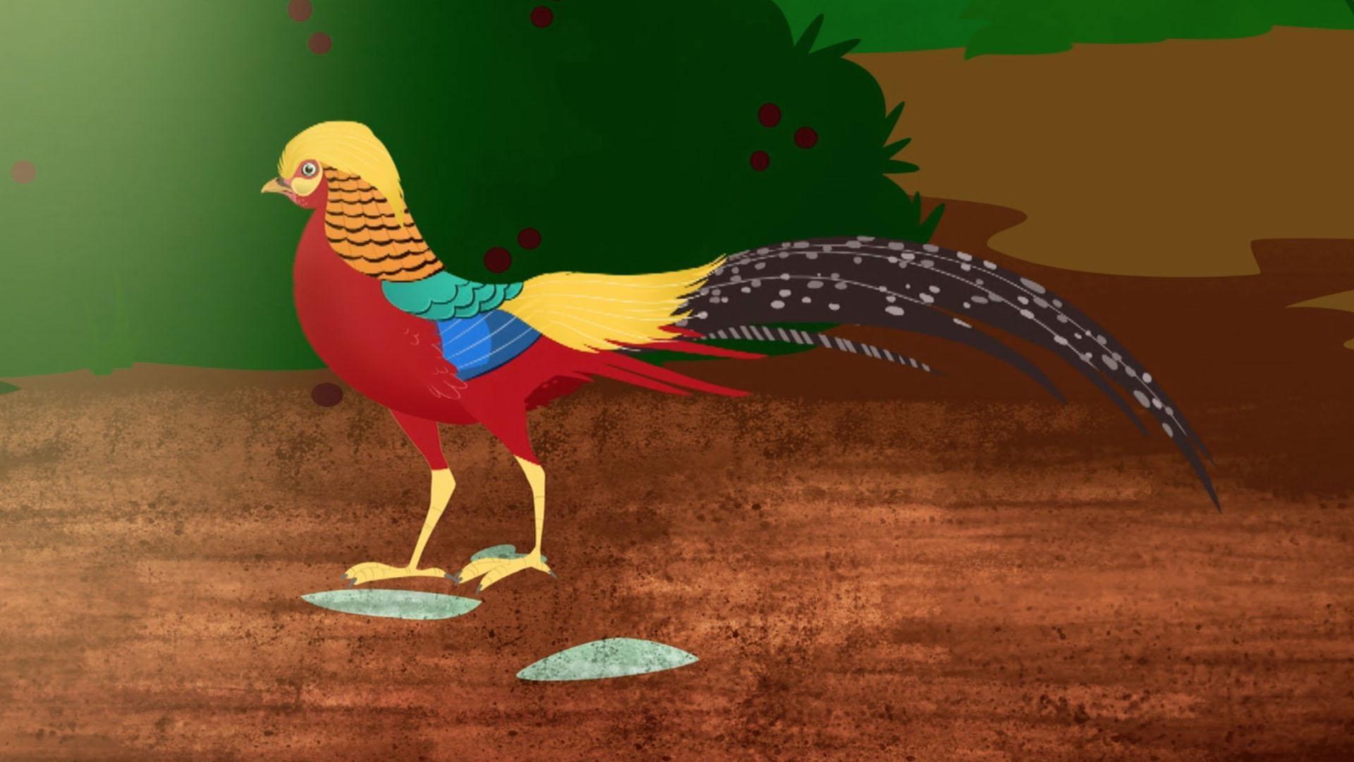 Martin and Chris discover a golden pheasant, one of the many colorful animals of China