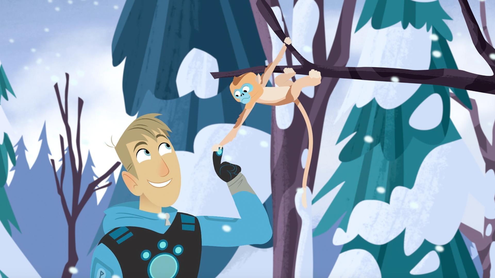 The Wild Kratts gang figures out how the golden snub-nosed monkeys survive the cold!