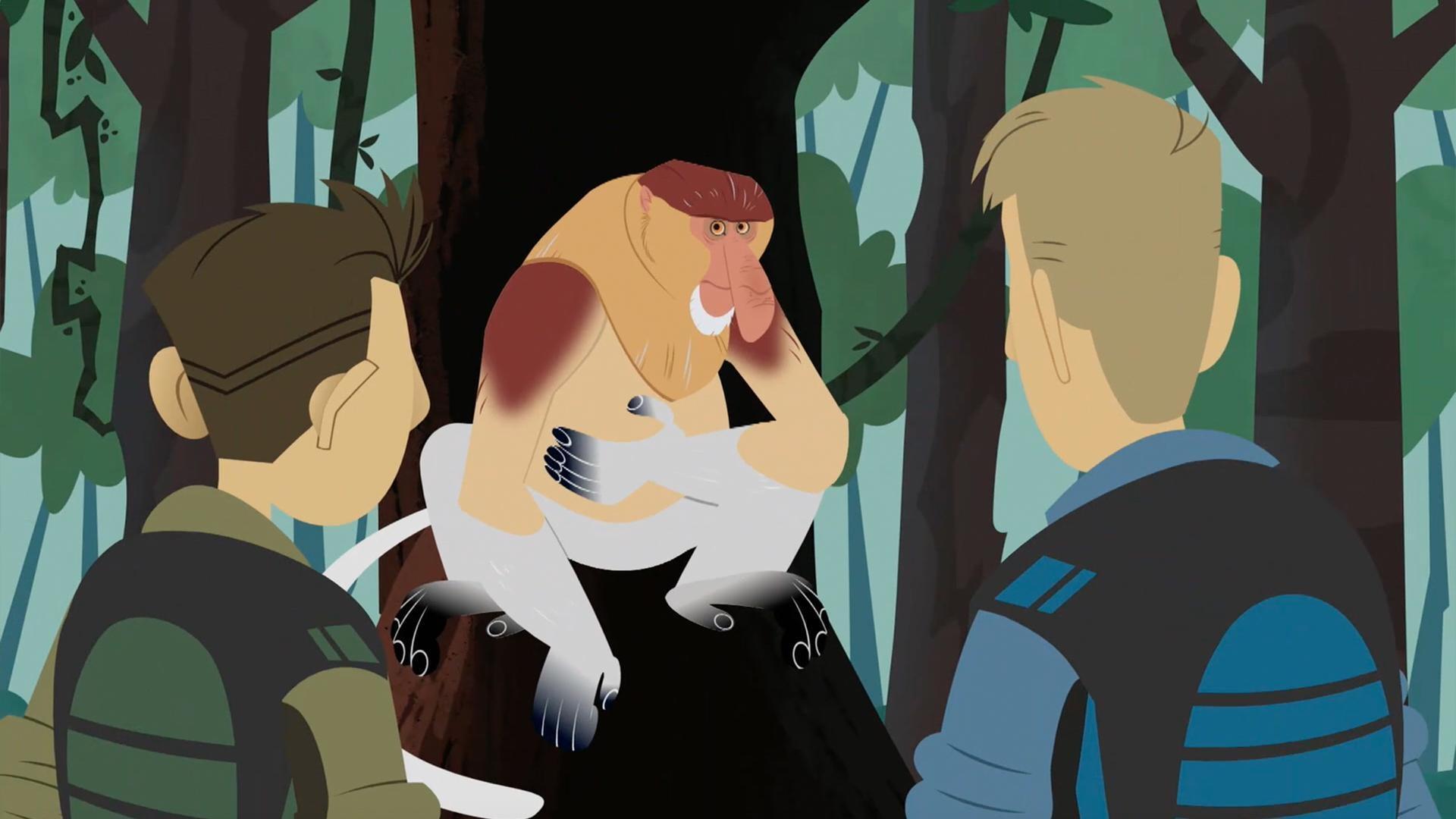 The brothers look for the origin of a sound, and it turns out to be a proboscis monkey!