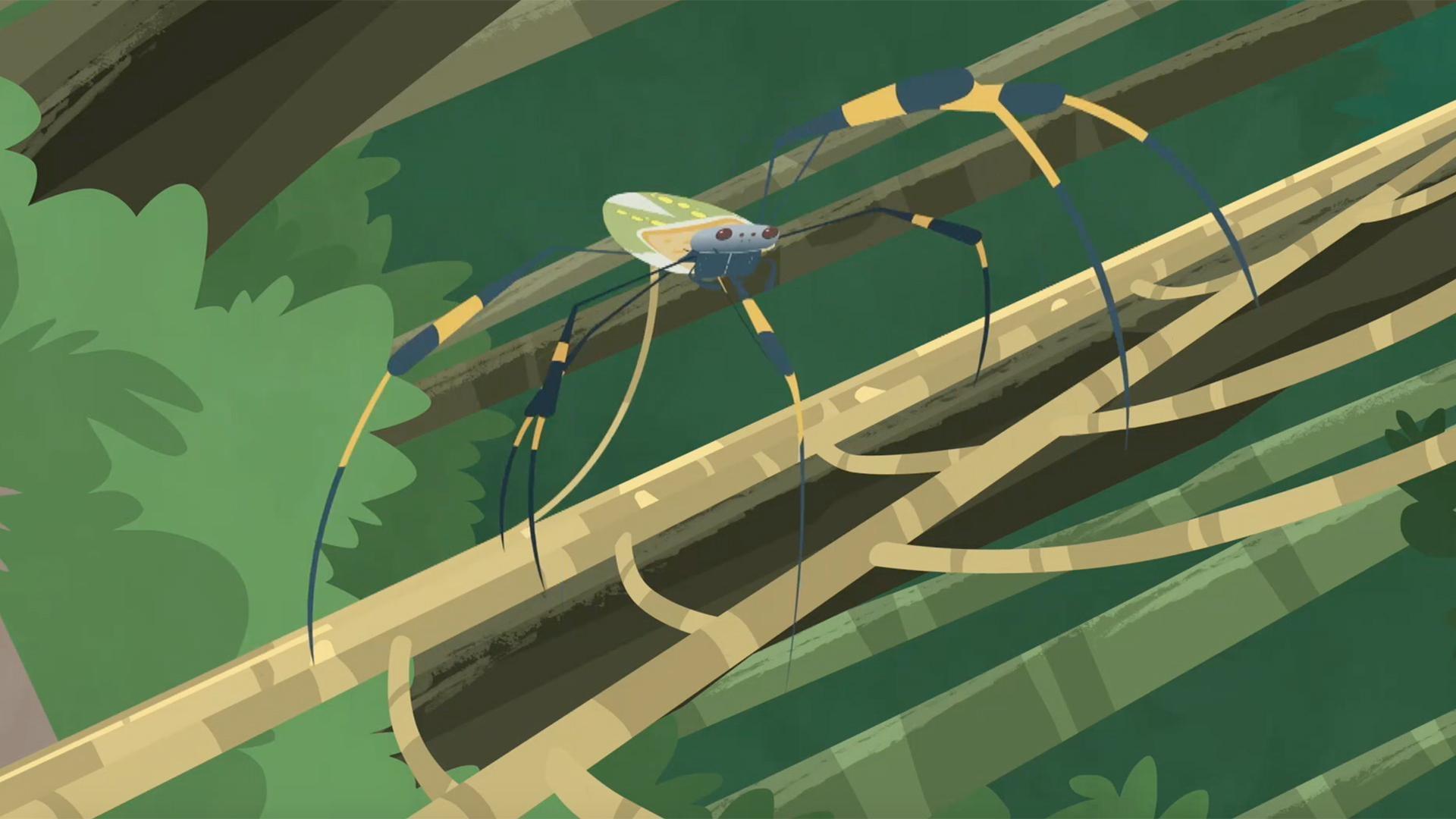 The bros get to take a close look at the orb weaver spider's web power in action.