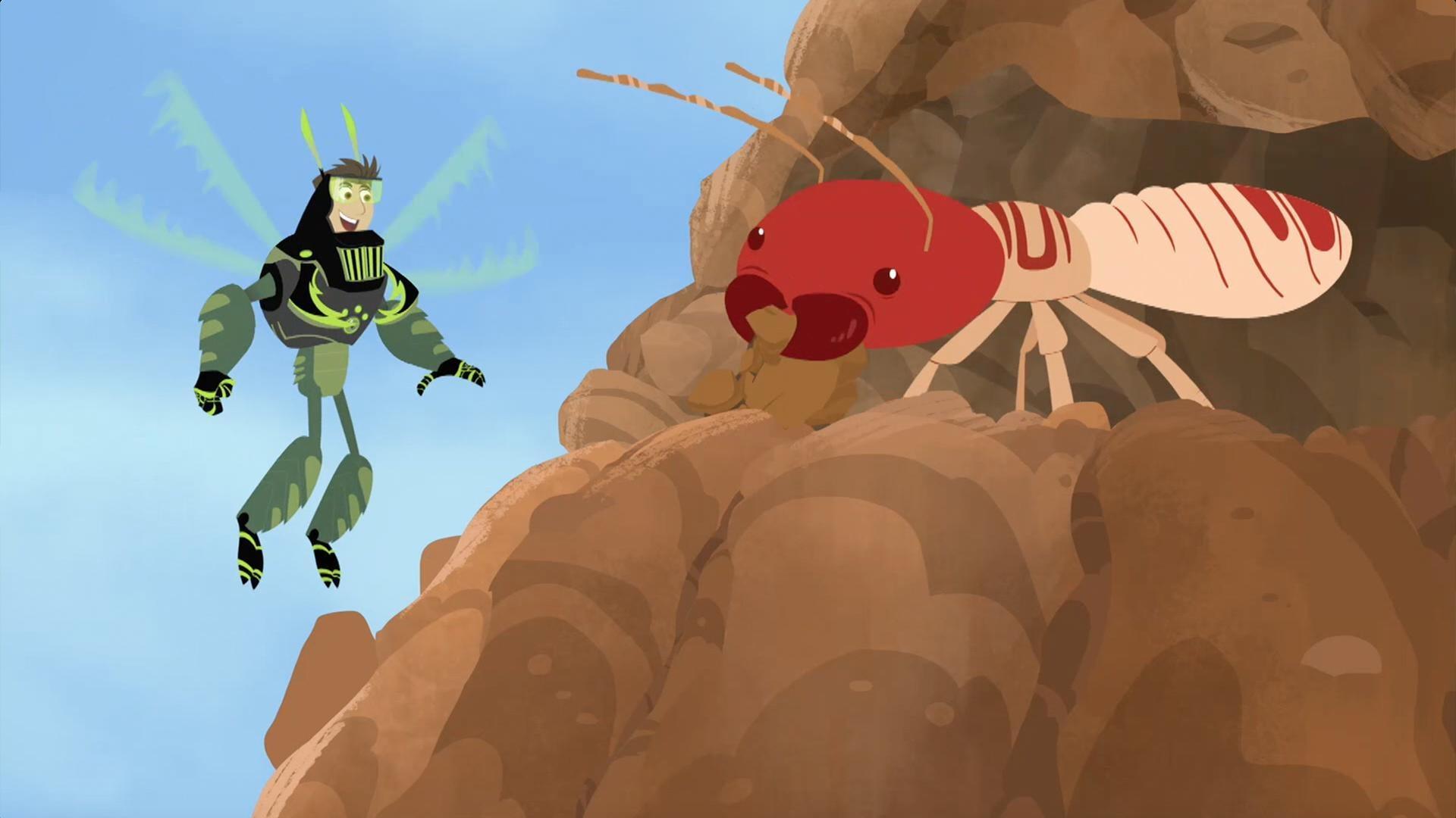 Chris closely inspects a termite mound.