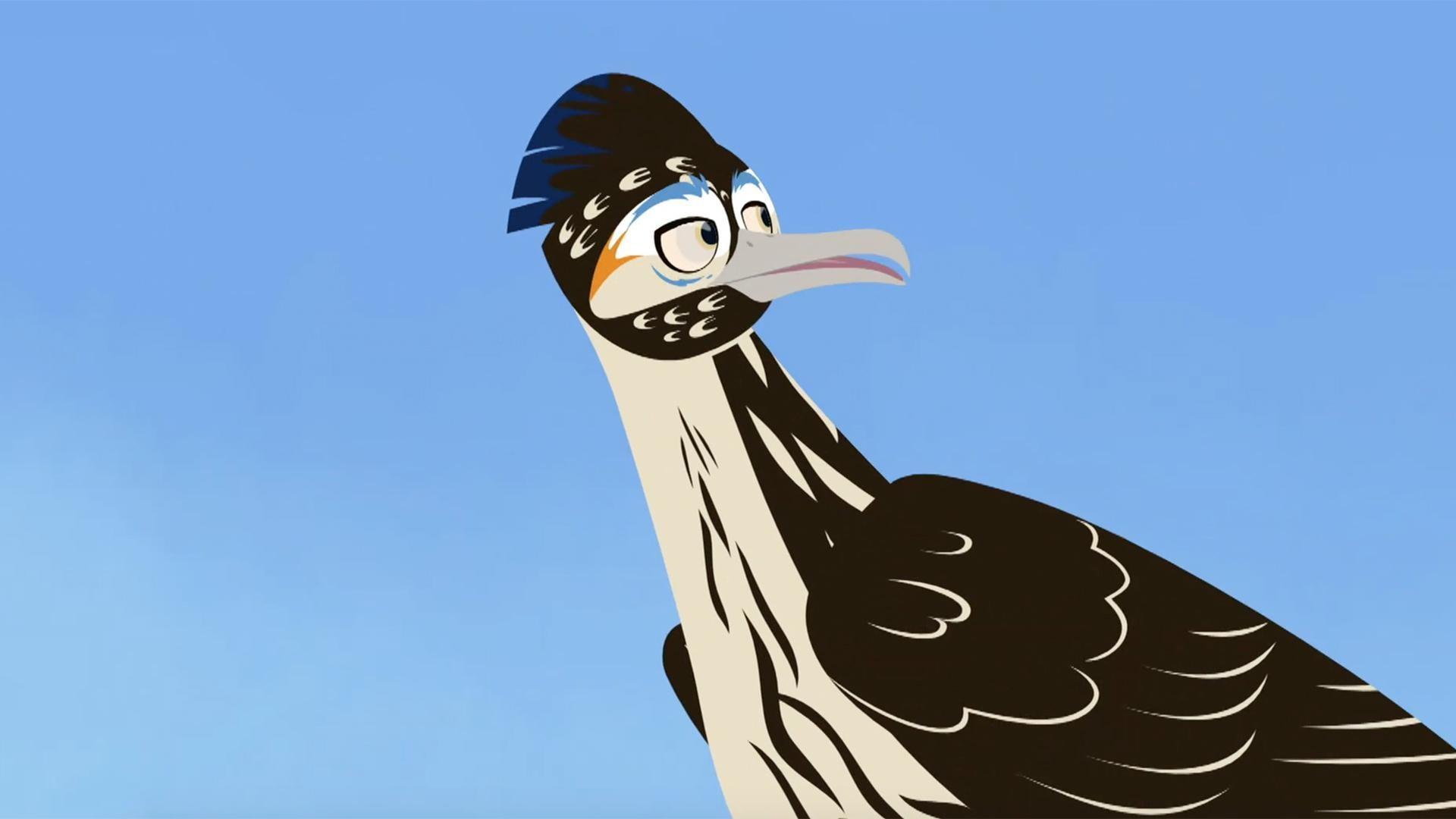 Martin and Chris find out that even though the roadrunner prefers to run, it can also fly!