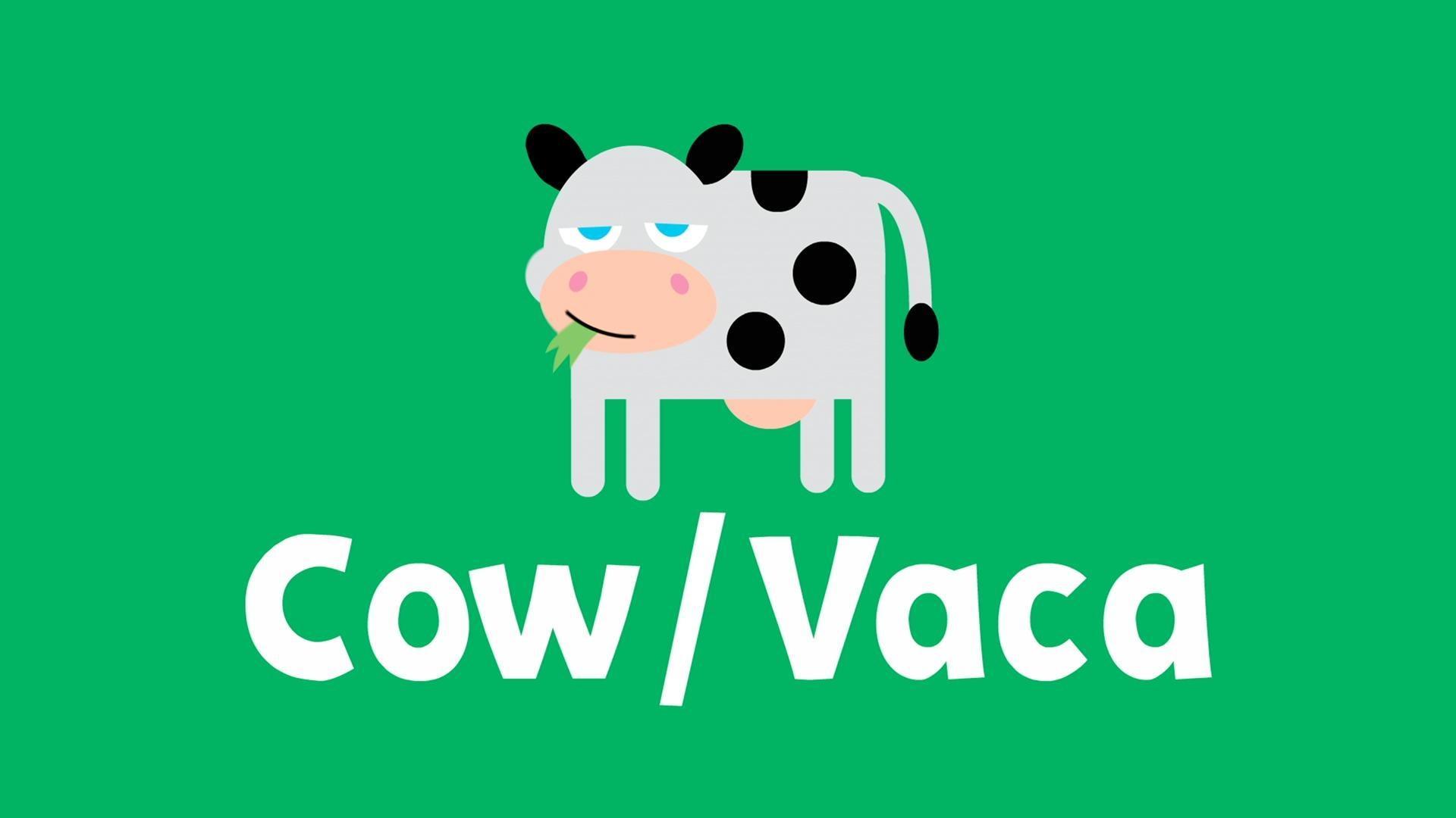 The word of the week is "cow"!