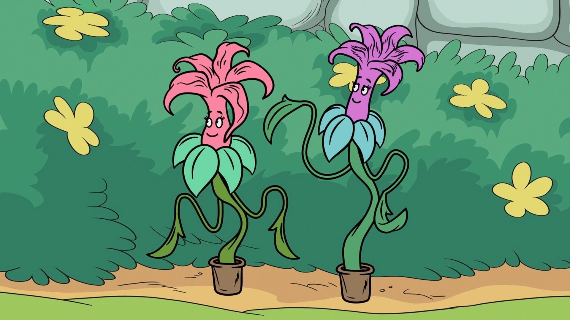 La combinación correcta de suelo y agua hará que la flor cante.