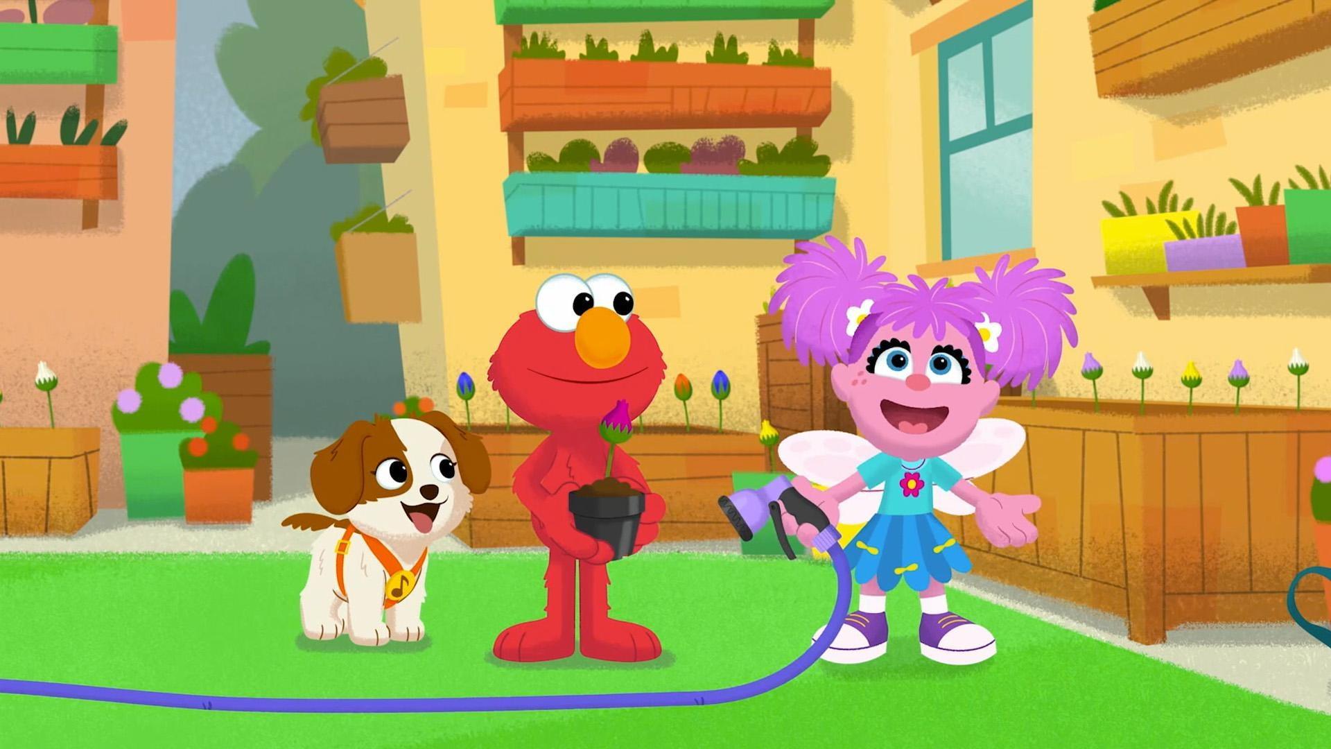 Elmo and Tango help Abby water the garden.