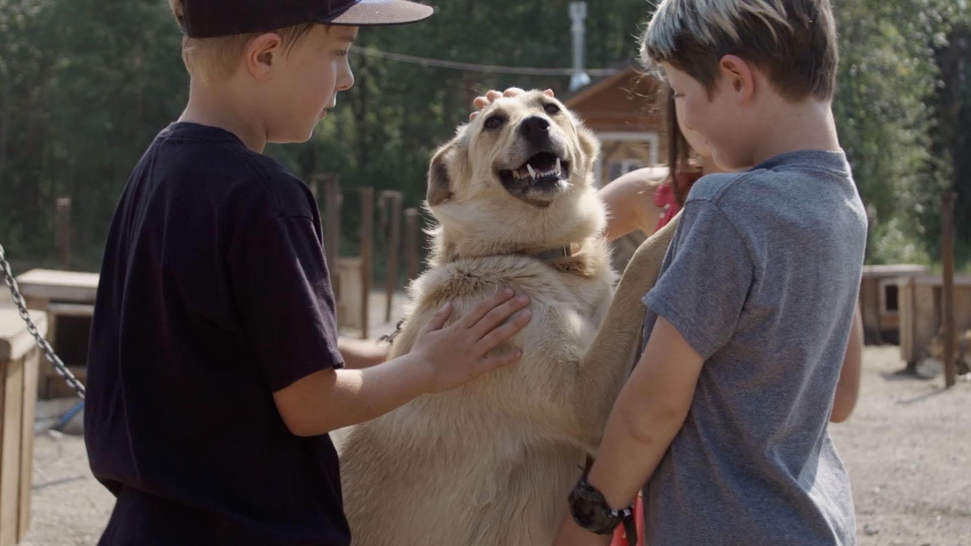 Kids visit sled dogs to see how they train during the summer.