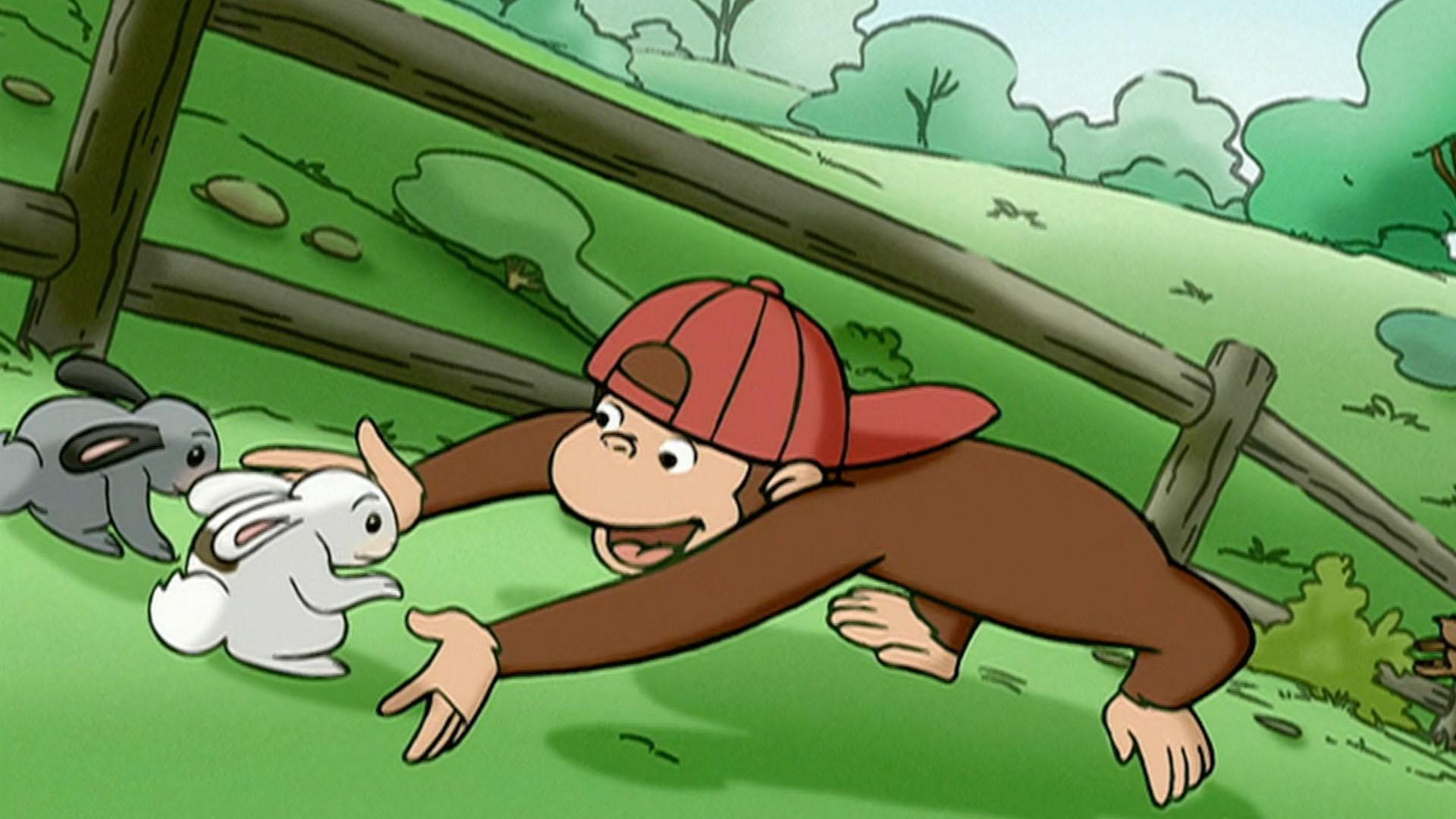 George explores the inside of a BIG library clock./George helps return escaped bunnies.