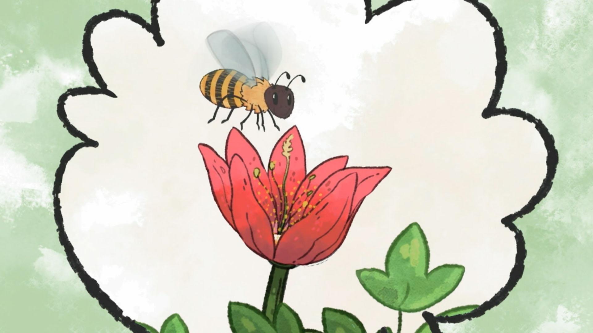 Jorge and Olive explore the world of flowers and the reasons why they are so colorful.