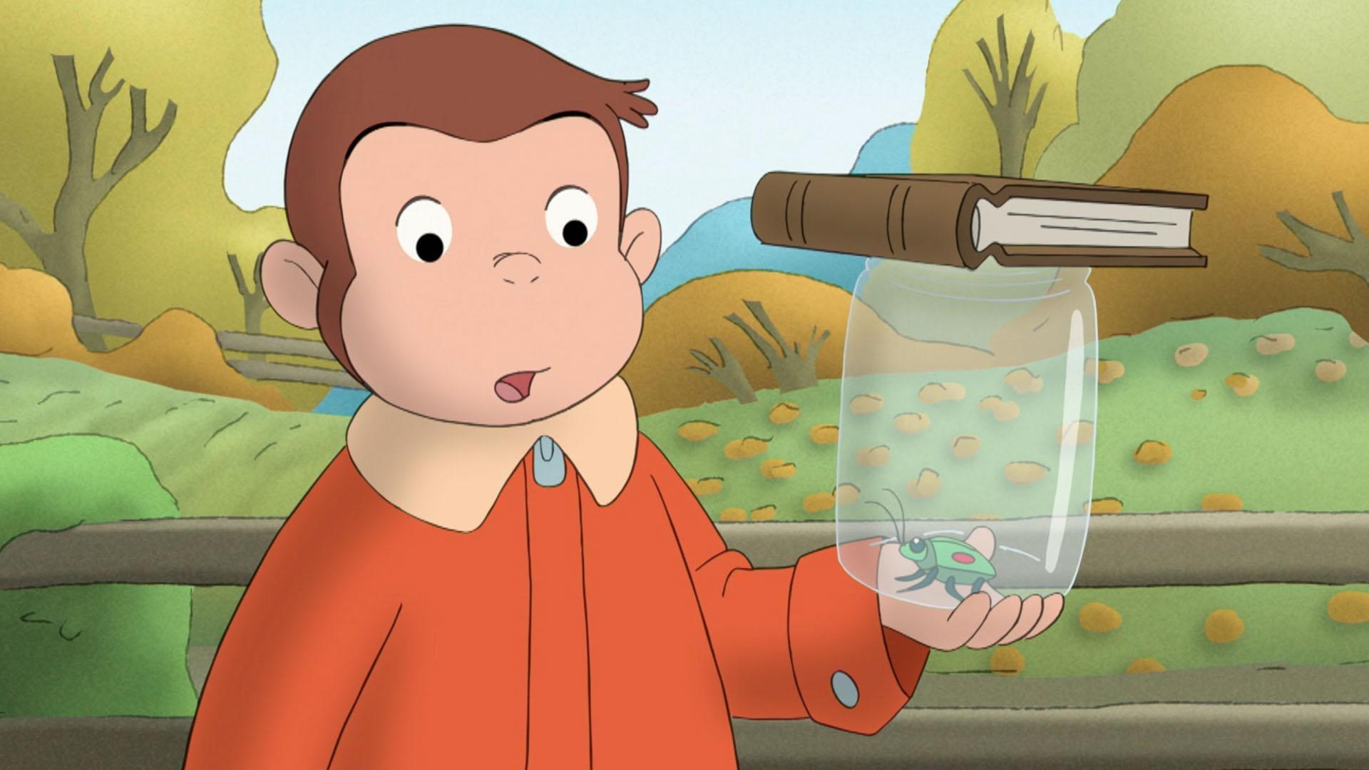 George builds a buggy house for a stinkbug. / Steve and George build a Rubber Band Ball.