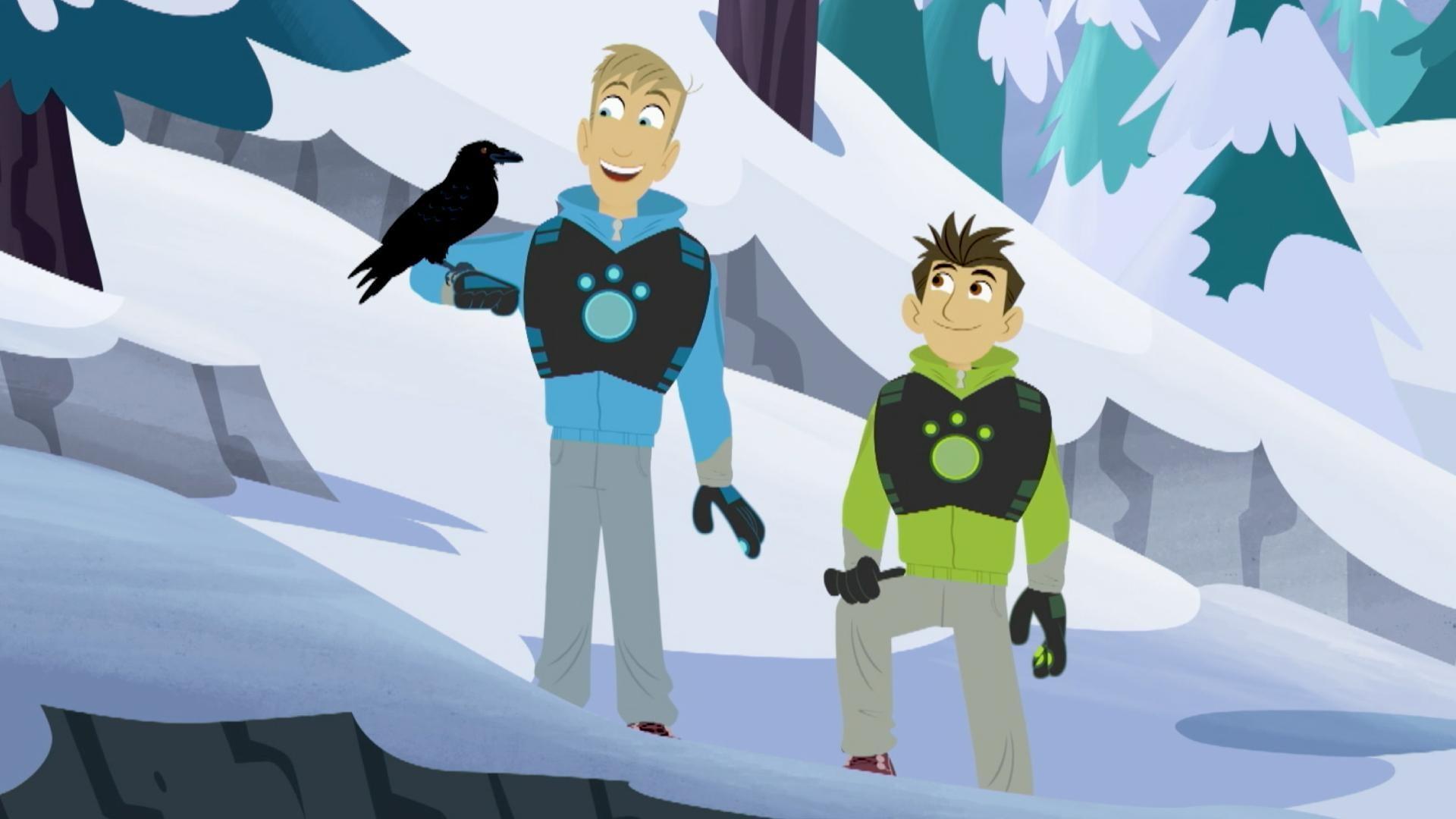 Martin and Chris learn about the incredible intelligence and ingenuity of the raven.
