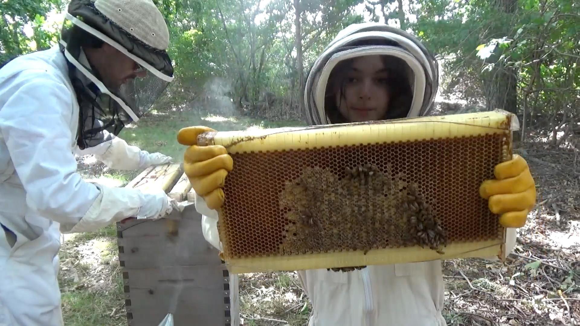 See why Onora is buzzing with excitement to explain how bees make honey!
