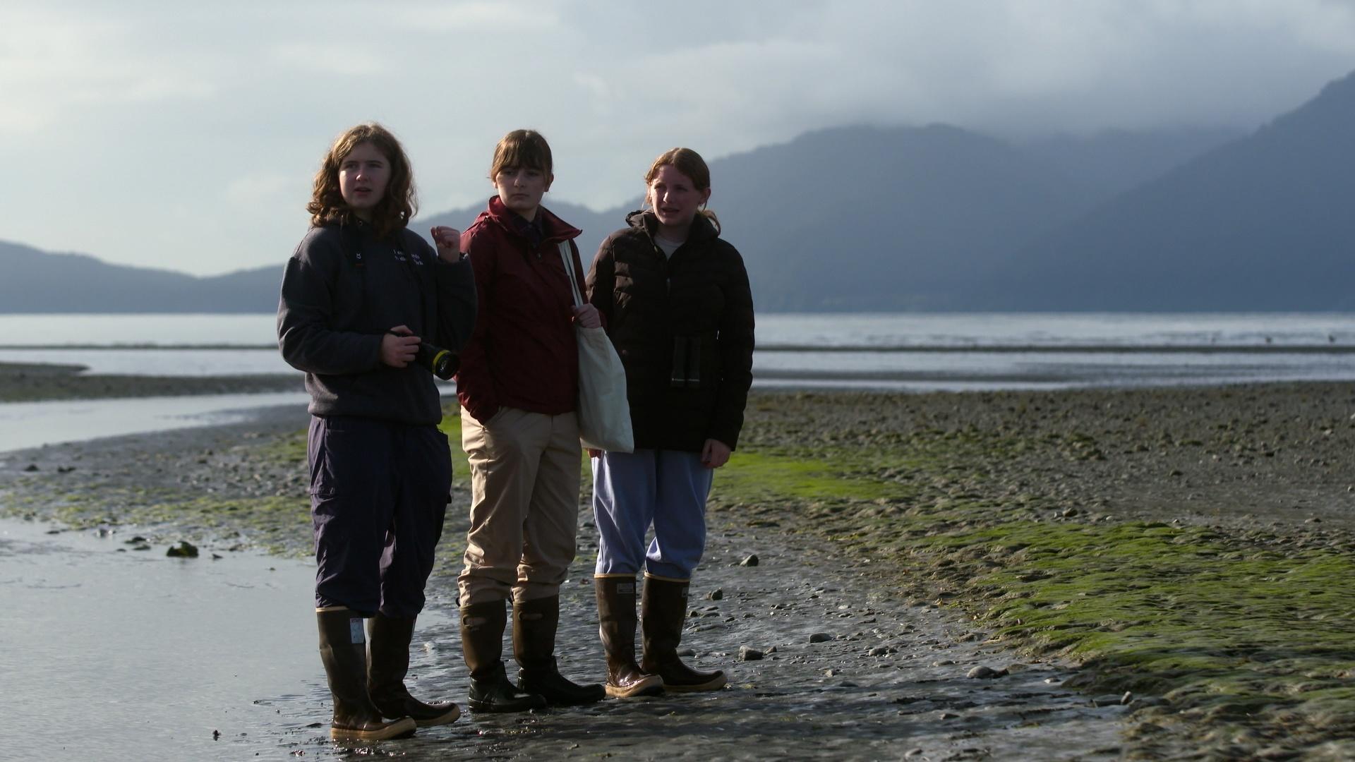 The SciGirls go to the beach to get data on all the plants and animals they can find.