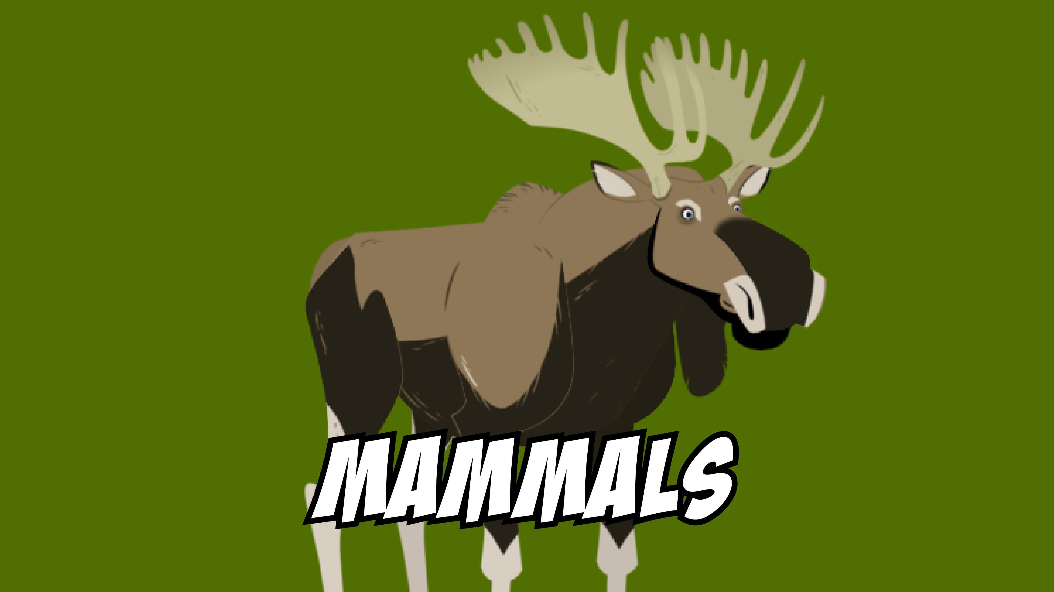 Wild Kratts Mammals playlist
