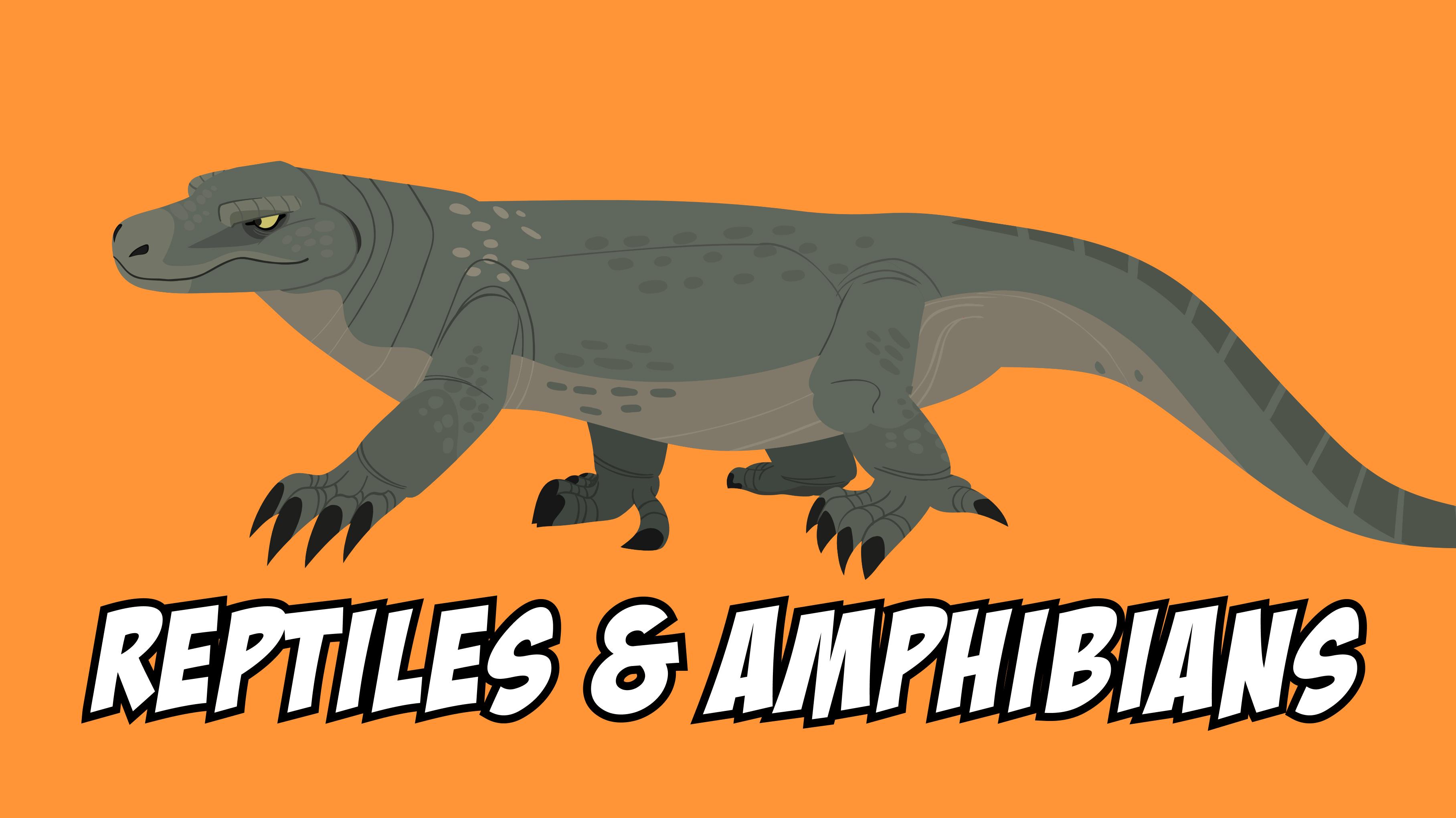 Wild Kratts Reptiles Amphibians