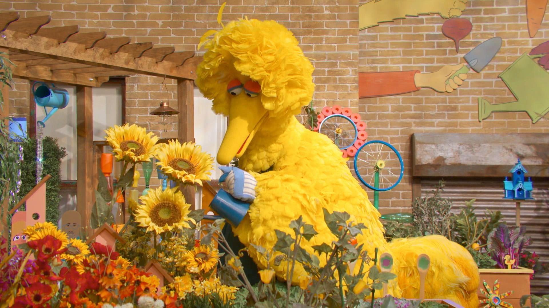 Your Sesame Street friends sing about growing plants in the community garden.