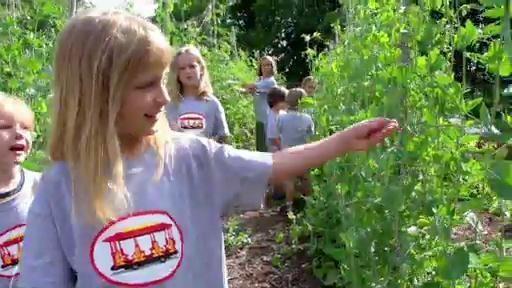 A visit to the garden, where all kinds of vegetables are growing.