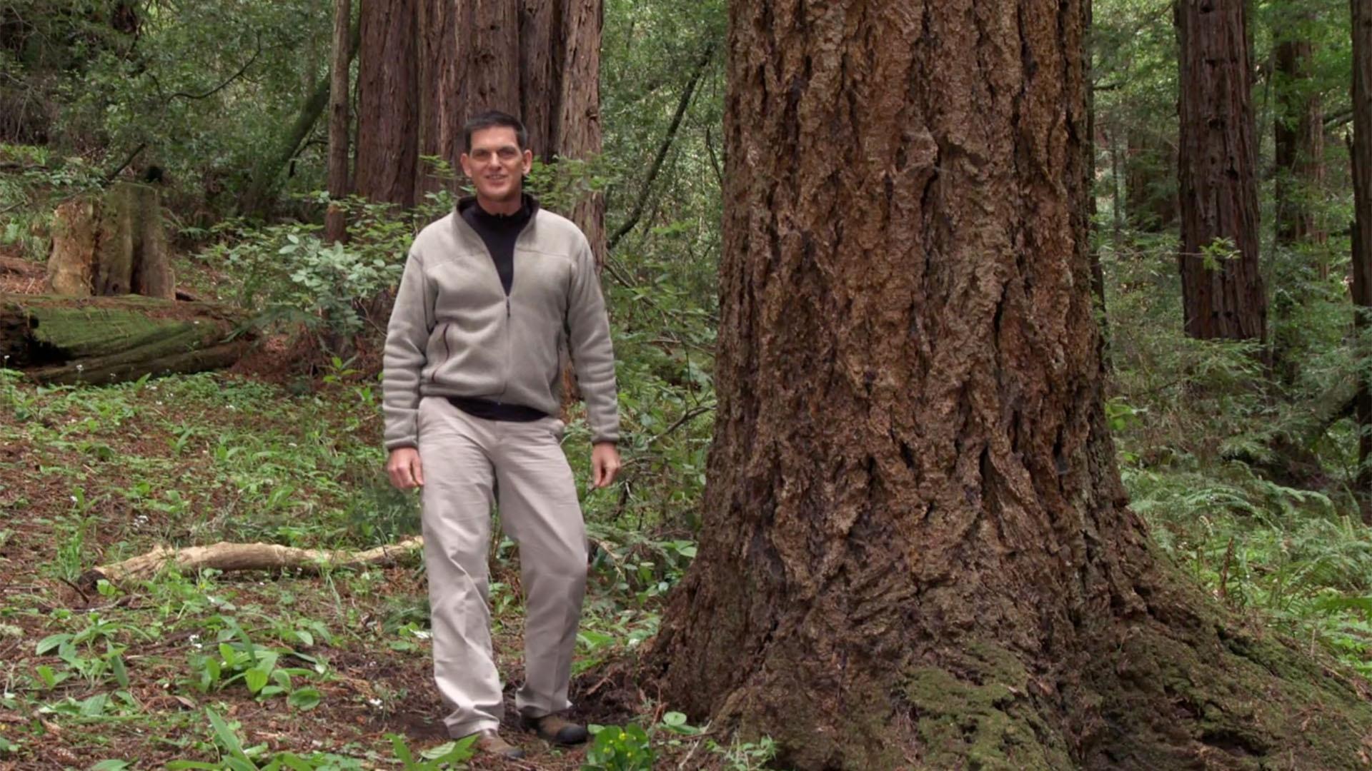 Dr. Scott explains that the decomposition of trees is good for nature.