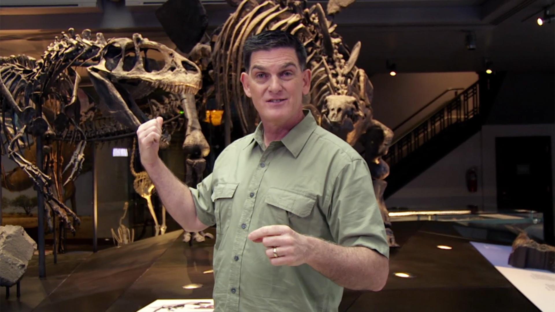 Ecosystems need predators and prey. Learn about Allosaurus and Stegasaurus with Dr. Scott!