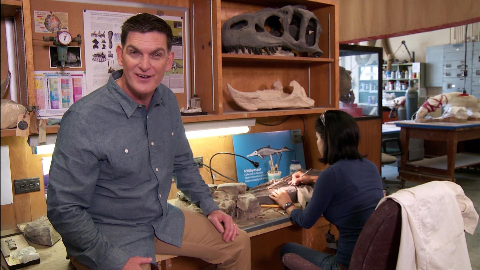 Join Dr. Scott to see how fossils are prepared after they leave the field.