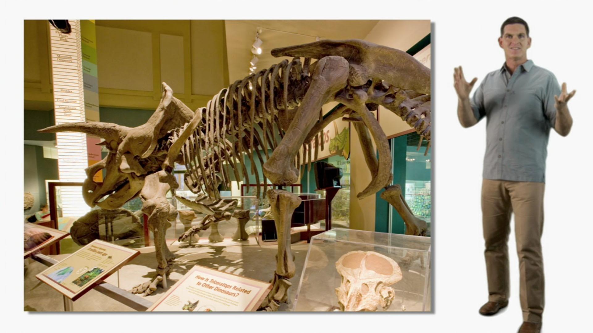 Dr. Scott explains what fossils are, and how paleontologists study them.