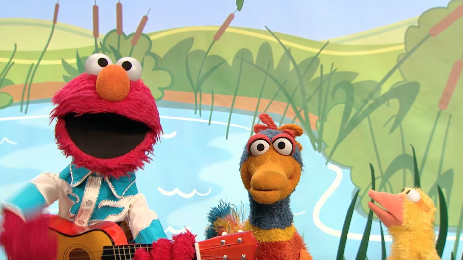 Elmo sings a song about numbers and ducks.