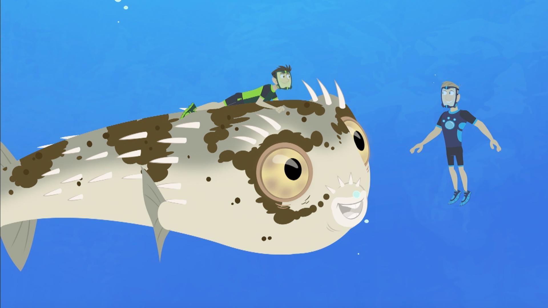 Martin and Chris try to find Blimpy the blowfish a new place to call home.