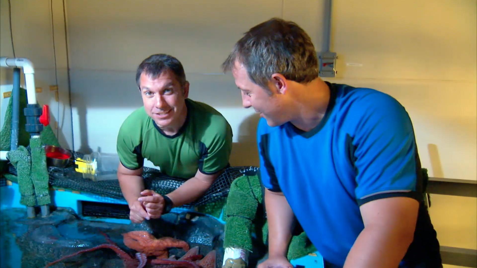 Martin and Chris show how intelligent giant Pacific octopus really are!