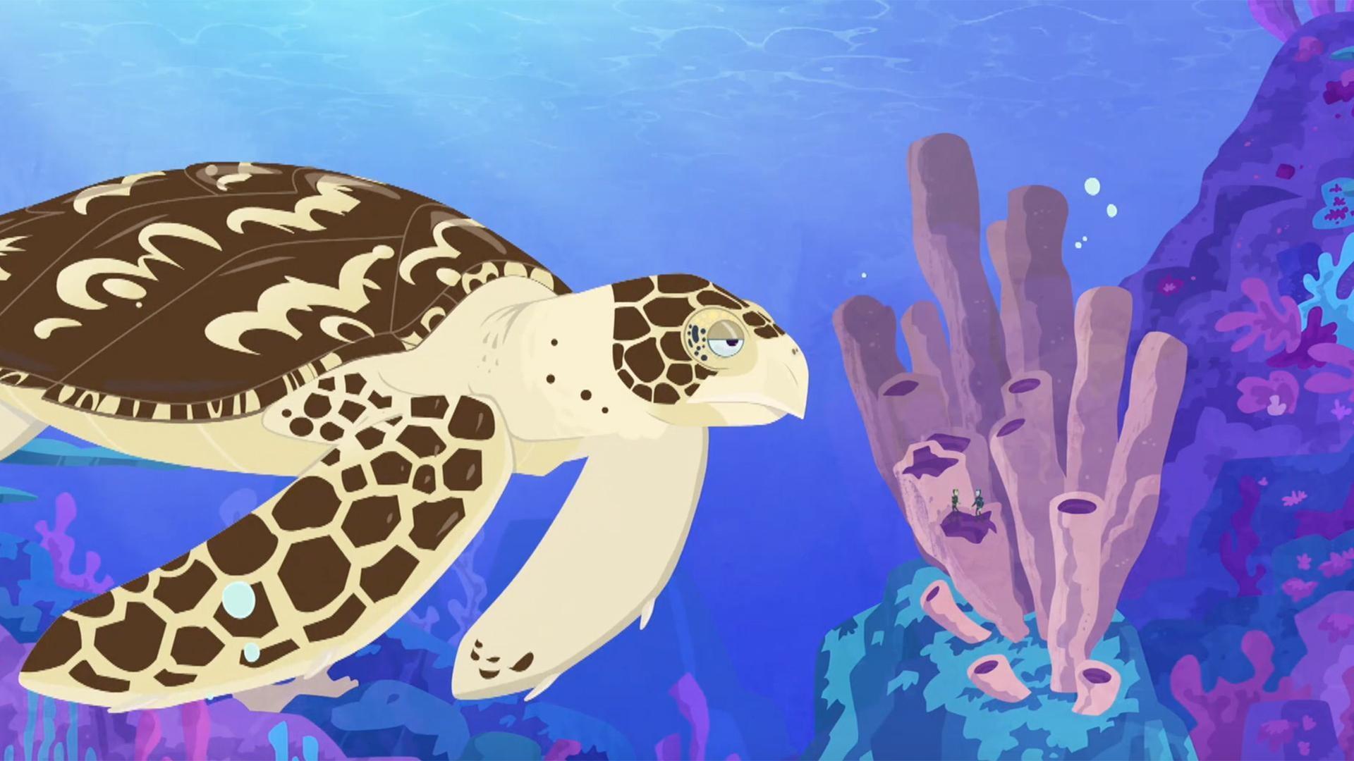 Inside a sea sponge, the bros are startled as it shakes; caused by a sea turtle eating it!