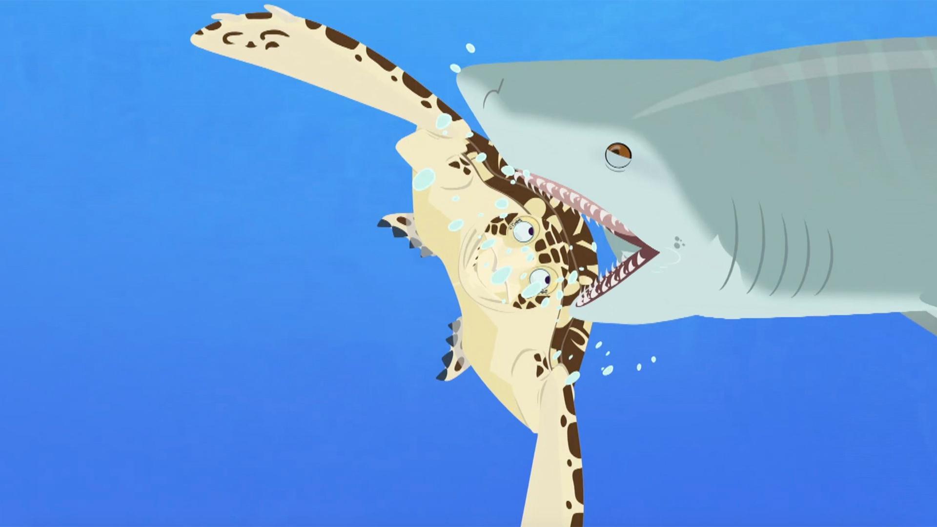 Shield the sea turtle and the bros face trouble as a tiger shark approaches!