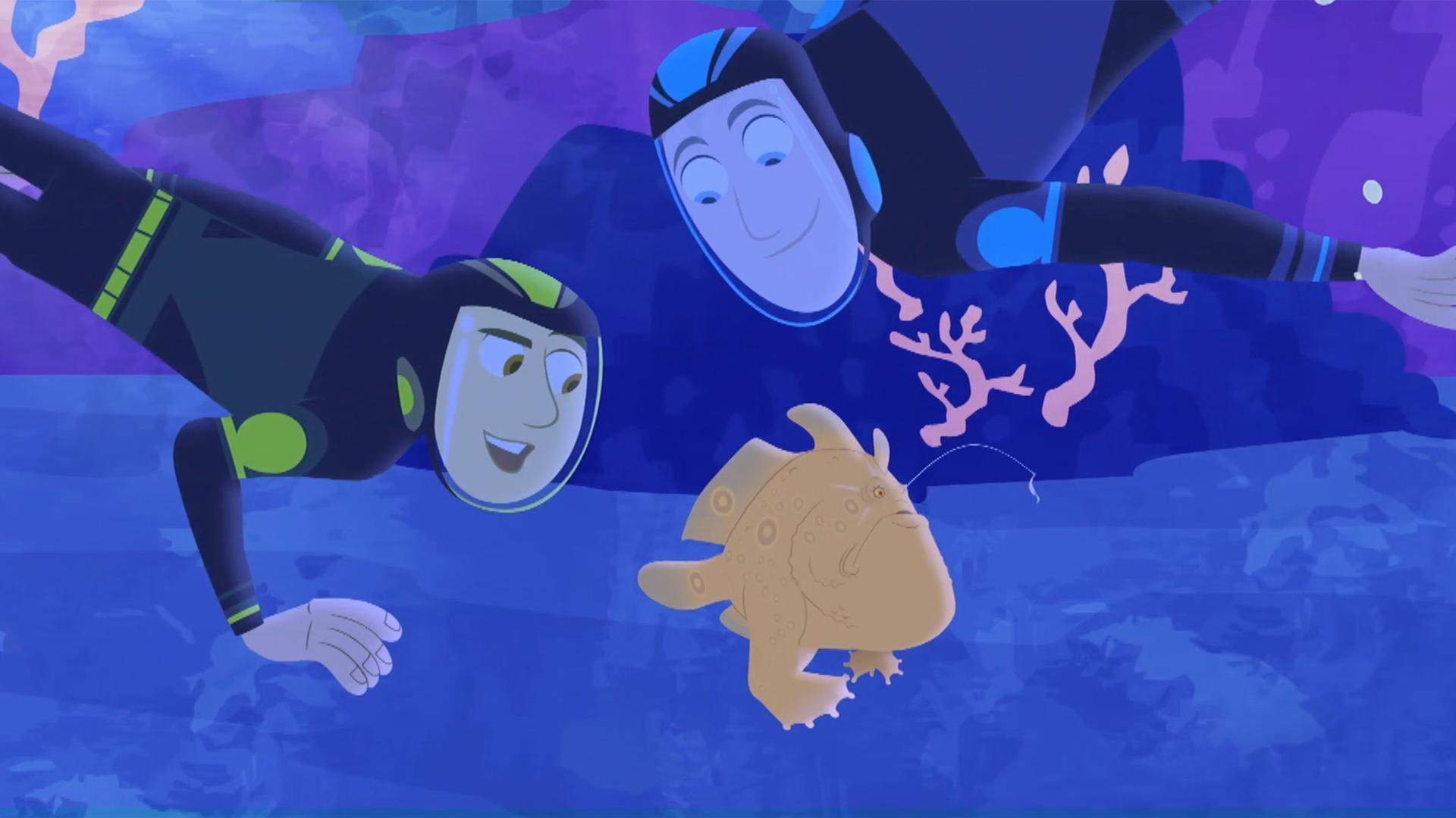 The Kratts find a frogfish – a type of fish that disguises itself as coral!