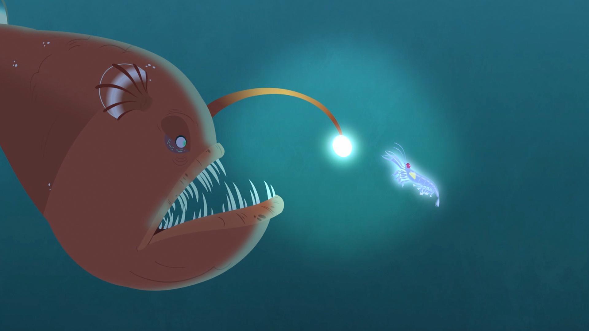 The gang searches for Martin and Chris and talk about bioluminescence.