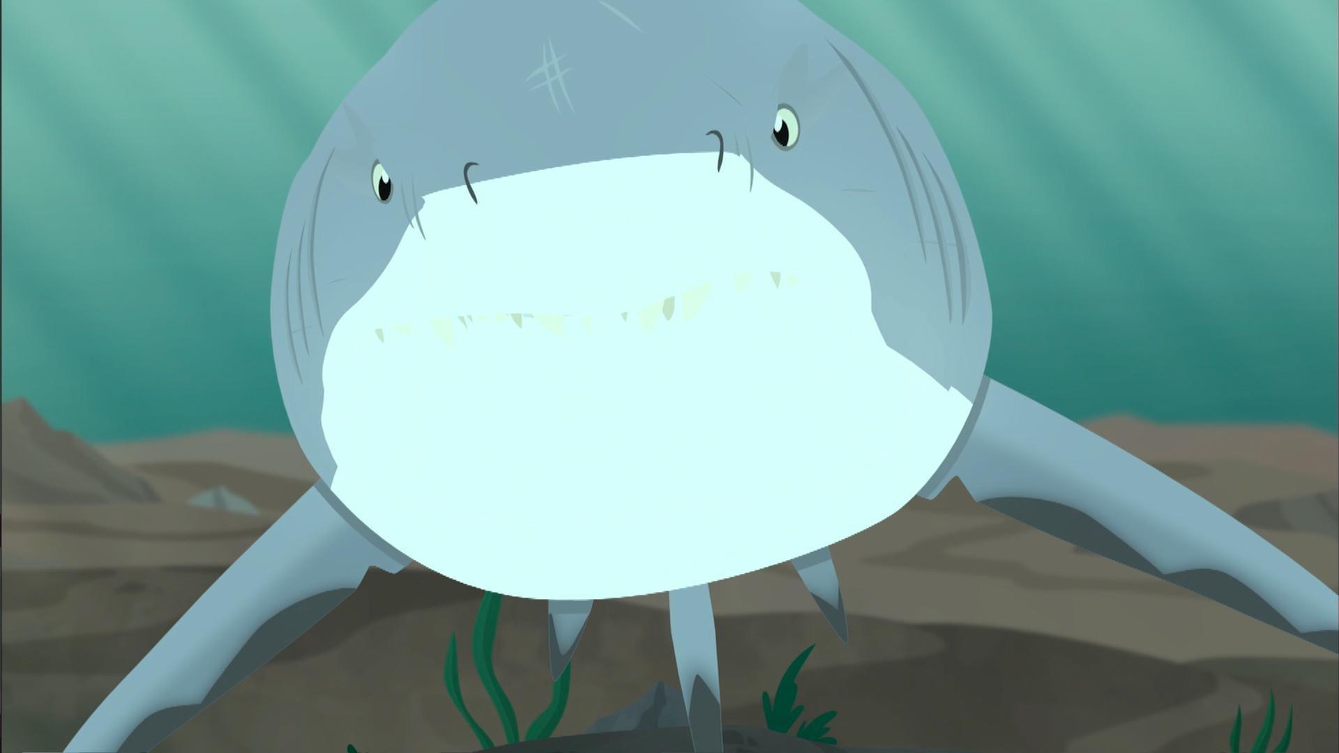 The Kratts find a bull shark in a freshwater river which starts charging at them.