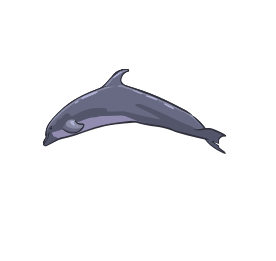 An illustration of a dolphin, its body arced as it jumps through the air.